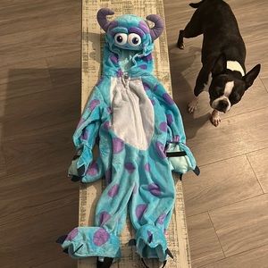 Monsters Inc “Sully” costume